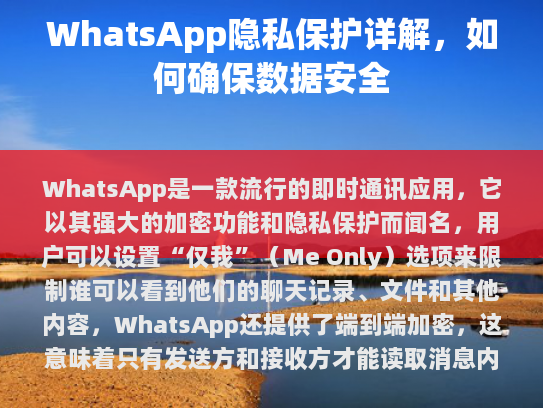 WhatsApp 隐私保护详解，如何确保数据安全