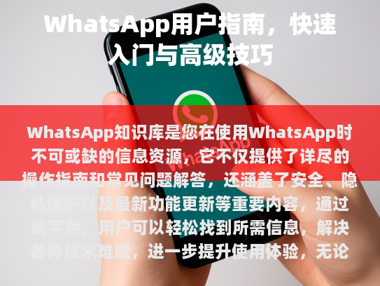 WhatsApp知识库，您的必备信息宝库