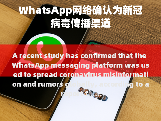 原文修正与修改后的版本