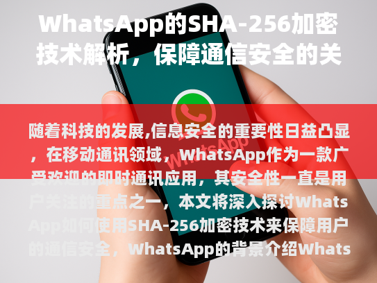 WhatsApp的背景介绍