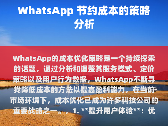 WhatsApp 成本优化策略