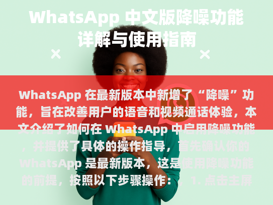 WhatsApp 中文版降噪功能详解与使用指南