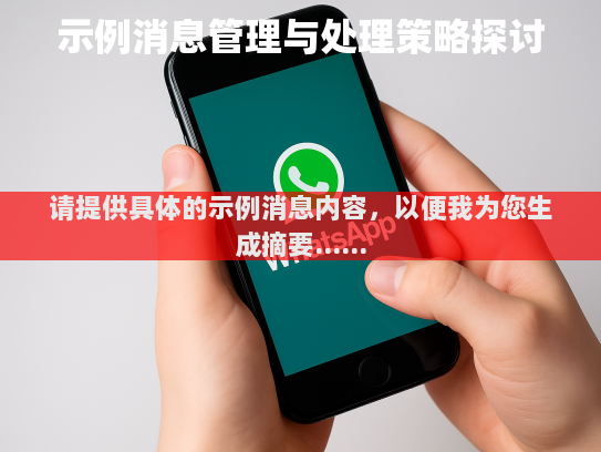 请提供具体的示例消息内容，以便我为您生成摘要。