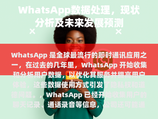 WhatsApp 数据处理现状分析及未来发展预测