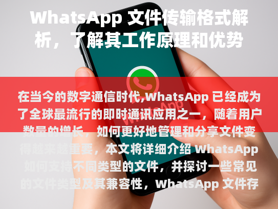 经过修改后的文章如下，