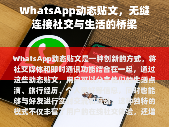 探索 WhatsApp 动态贴文，无缝连接生活与社交的新途径