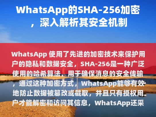 本文目录导读，