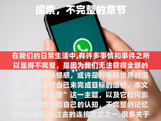 不完整的友谊