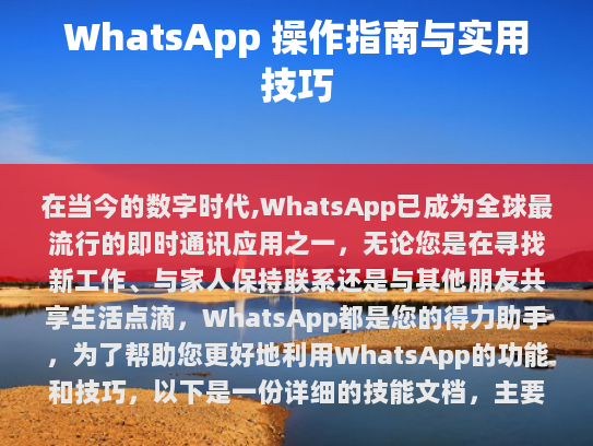 基本操作指南