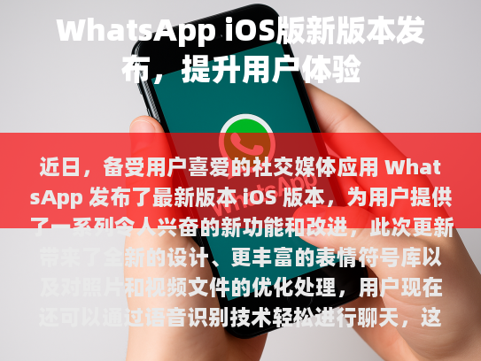 界面优化与美观提升