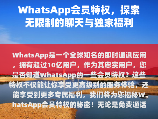 WhatsApp会员特权揭秘