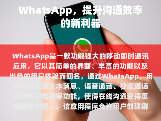 WhatsApp，提升沟通效率的新利器
