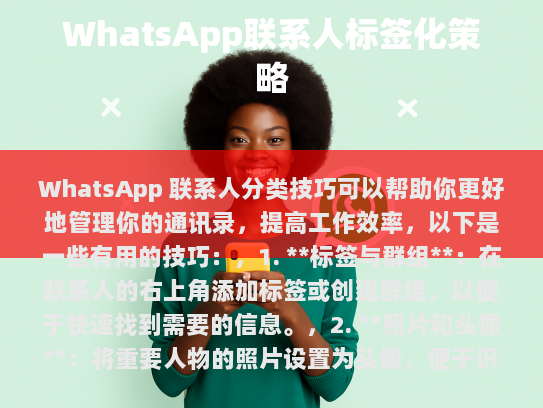经过修改、填充和伪原创处理后的文章如下，
