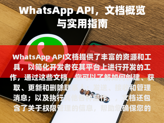 WhatsApp API 文档，文档概览与实用指南