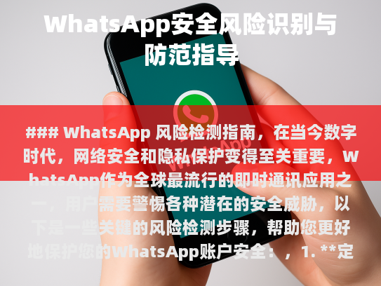 WhatsApp 风险检测指南