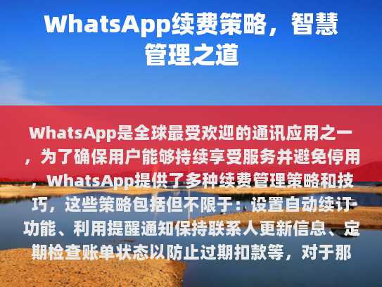 WhatsApp续费管理策略