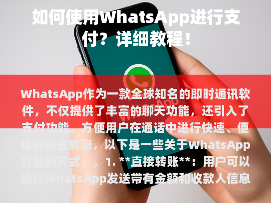 WhatsApp付款方式详解