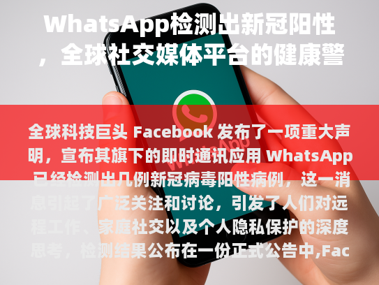 本文目录导读，
