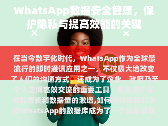 WhatsApp 数据库的重要性