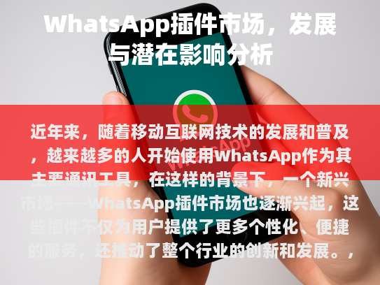 WhatsApp插件市场的现状与发展