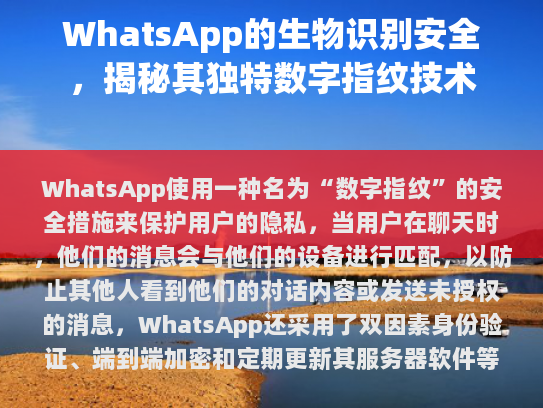经过仔细阅读和编辑，以下是修改后的文章，