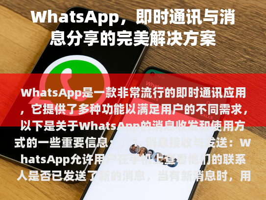 WhatsApp，即时通讯与消息分享的完美解决方案