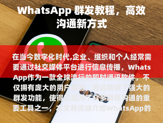 错误纠正及优化后的文章,