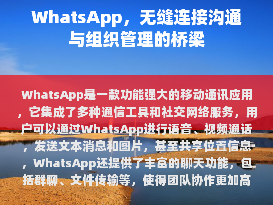 更具条理性，我会将文档分成几个部分，并对一些表述进行修改和补充。以下是改进后的版本，