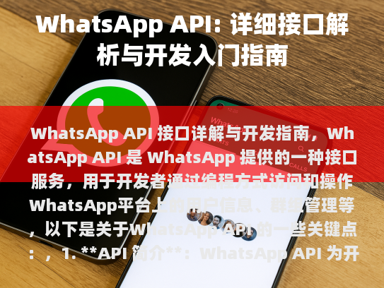 WhatsApp API 接口详解与开发指南