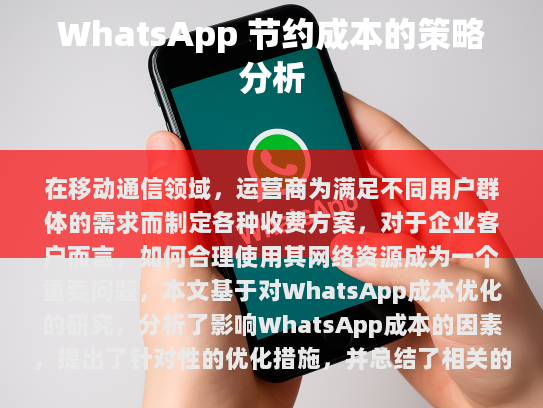 一、影响WhatsApp成本的因素