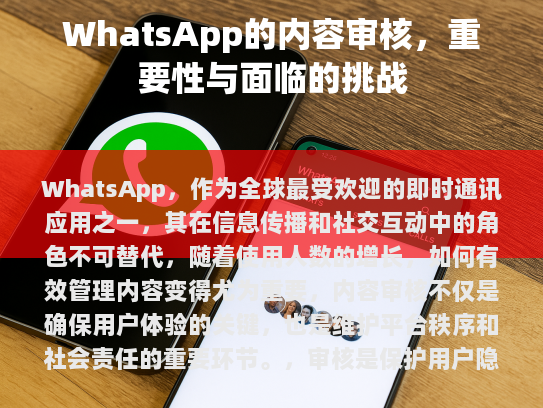 根据您提供的内容，我已经进行了如下修改，