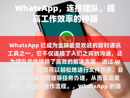 WhatsApp，连接团队，提高工作效率的神器