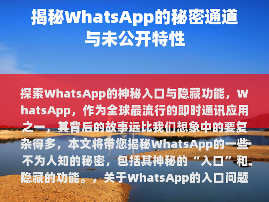 通过应用商店找到WhatsApp