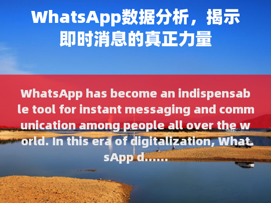 WhatsApp 数据分析揭示即时通讯的强大力量