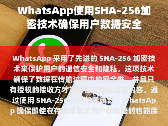 深入了解 WhatsApp 的加密技术