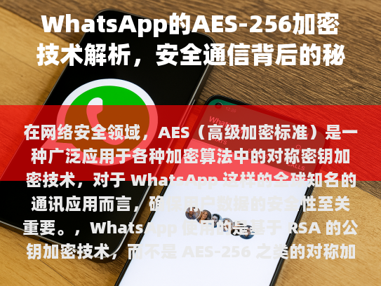 WhatsApp 应用商店，全球化沟通新选择