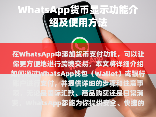 WhatsApp 货币显示功能介绍