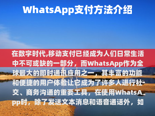 WhatsApp的主要付款方式