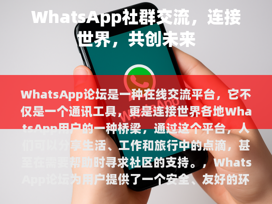 WhatsApp论坛，连接世界，共创未来
