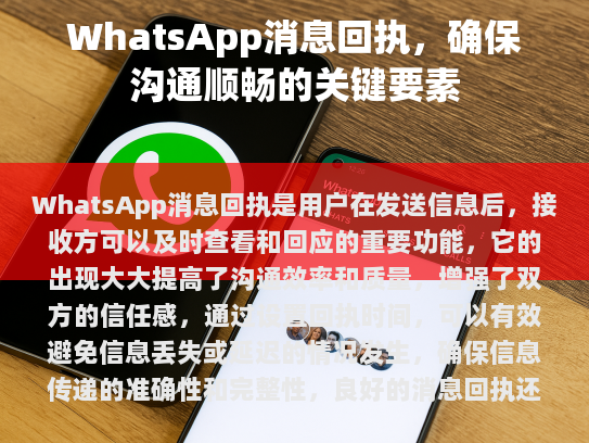 WhatsApp 消息回执，沟通顺畅的关键要素