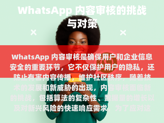 WhatsApp 内容审核的重要性