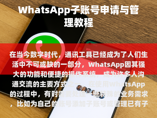 了解 WhatsApp 子账号的概念