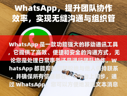 WhatsApp，提升团队协作效率，实现无缝沟通与组织管理