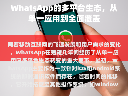 整理后的文本