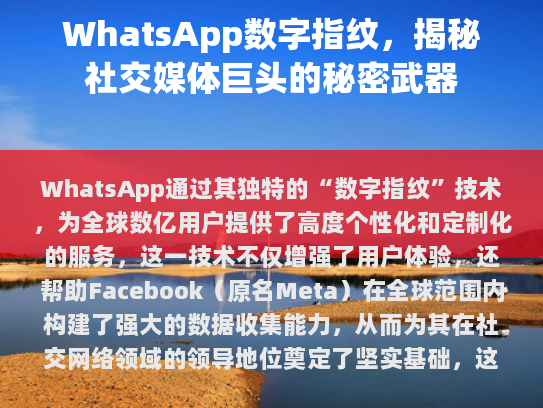 经过我的仔细审阅和修改，以下是改进后的版本，