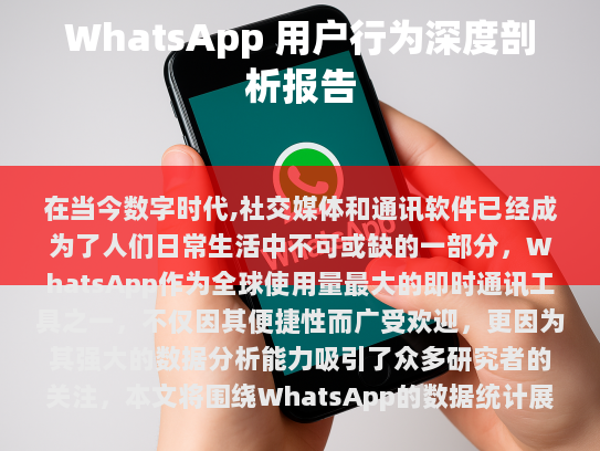 WhatsApp 用户基础