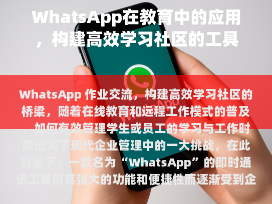 经过修改后的文章如下，