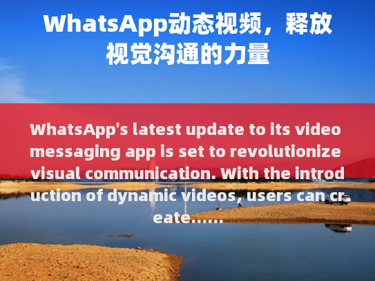 WhatsApp动态视频，释放视觉沟通的无限可能