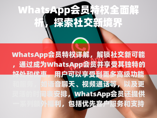 WhatsApp会员特权详解
