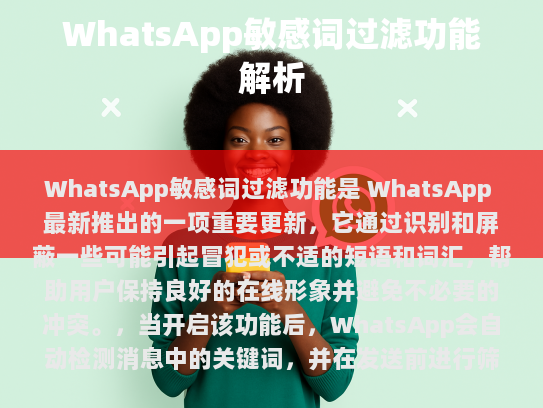 WhatsApp 敏感词过滤功能详解